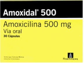 [01658] AMOXIDAL 500 (50)
