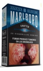 [01769] CRAFTER BOX MENTOLADO *20