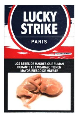[01821] PARISIENNES BOX  20
